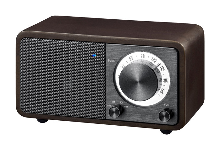 SANGEAN Mini Bluetooth Speaker with FM Radio