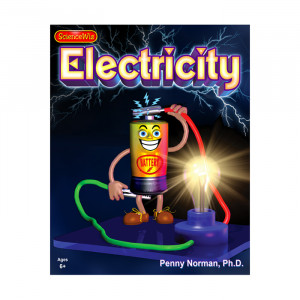 SCIENCE WIZ Electricity Projects