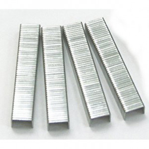 ECLIPSE Staples for CP-392 Stapler - Flat Crown Staples