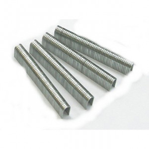 ECLIPSE Staples for CP-392 Staple Gun - Round crown