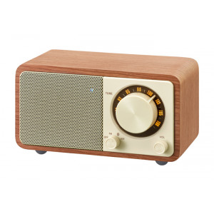 SANGEAN Mini Bluetooth Speaker with FM Radio