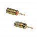 PHILMORE Gold Pin Plugs 2 pk